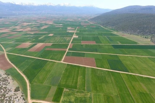 Bu yıl 541 bin hektar alanda arazi toplulaştırması tamamlanacak Bu yıl 541 bin hektar alanda arazi toplulaştırması tamamlanacak