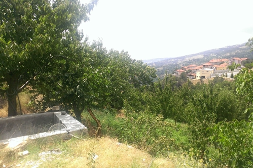 2B arazilerinin ödemesine ek süre 2B arazilerinin ödemesine ek süre