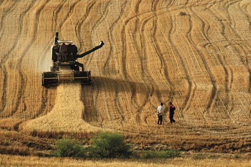 Kırsal kalkınma için 1.2 milyar liralık yeni hibe çağrısı Kırsal kalkınma için 1.2 milyar liralık yeni hibe çağrısı