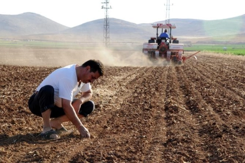 Doğal afetlerden zarar gören çiftçiye 780 milyon liralık tazminat ödenecek Doğal afetlerden zarar gören çiftçiye 780 milyon liralık tazminat ödenecek