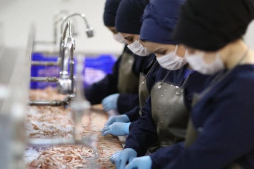 İşlenmiş su ürünleri yetiştiricisine destek İşlenmiş su ürünleri yetiştiricisine destek