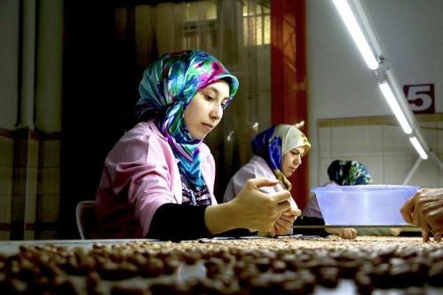 Yeni yatırımlarla 33 bin istihdam Yeni yatırımlarla 33 bin istihdam