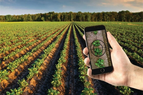 International e-market for Turkey’s agricultural products International e-market for Turkey’s agricultural products