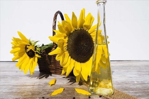 Ayçiçeği yağı ve aspir tohumu ithalatında gümrük vergisi yıl sonuna kadar sıfırlandı Ayçiçeği yağı ve aspir tohumu ithalatında gümrük vergisi yıl sonuna kadar sıfırlandı