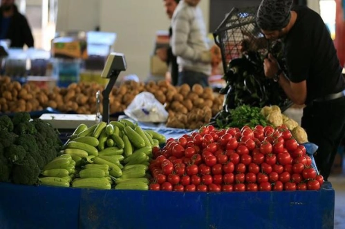 Tarım ÜFE ekimde aylık yüzde 1,68, yıllık yüzde 23,1 arttı Tarım ÜFE ekimde aylık yüzde 1,68, yıllık yüzde 23,1 arttı