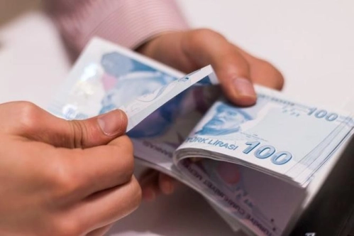 Dernek, vakıf, sandık ve diğer kuruluşlardan BES'e aktarım hakkında yönetmelik Dernek, vakıf, sandık ve diğer kuruluşlardan BES'e aktarım hakkında yönetmelik