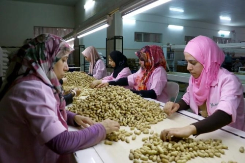 Türkiye'de 2 milyon 69 bin 476 sendikalı işçi bulunuyor Türkiye'de 2 milyon 69 bin 476 sendikalı işçi bulunuyor