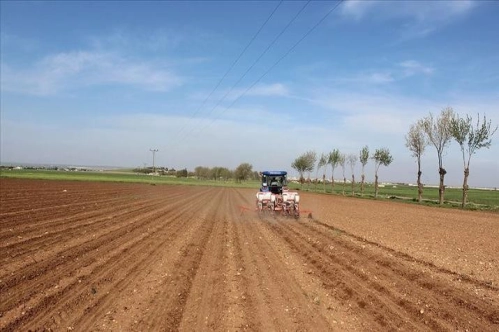 Kırsal kalkınma destekleri yeni kararlarla artıyor Kırsal kalkınma destekleri yeni kararlarla artıyor