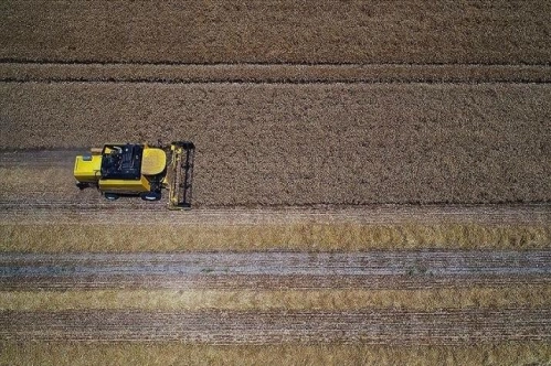 Tarımsal girdi fiyat endeksi Aralık 2020'de arttı Tarımsal girdi fiyat endeksi Aralık 2020'de arttı