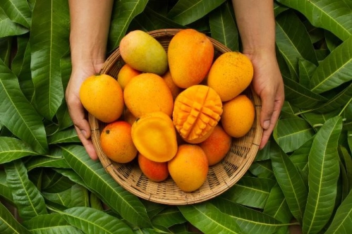 Türkiye'nin tropikal meyve ihracatı son 3 yılda yüzde 38 arttı Türkiye'nin tropikal meyve ihracatı son 3 yılda yüzde 38 arttı