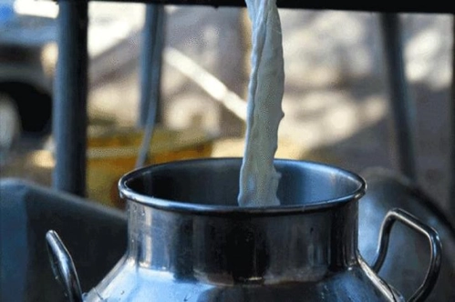 Sütçü ve kombine sığır yetiştiriciliğinde öncelikli bölge yatırımı kriterinden 7 il daha yararlanabilecek Sütçü ve kombine sığır yetiştiriciliğinde öncelikli bölge yatırımı kriterinden 7 il daha yararlanabilecek