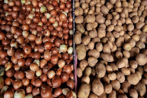 Türkiye geçen yıl 124 bin ton patates, 220 bin ton soğan ihraç etti Türkiye geçen yıl 124 bin ton patates, 220 bin ton soğan ihraç etti