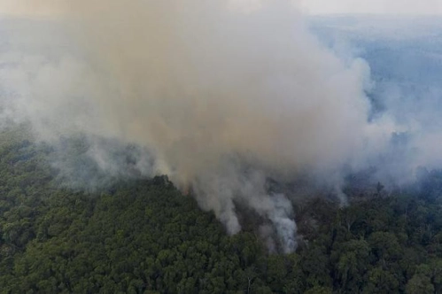 İnsanlar dünyanın tropikal yağmur ormanı örtüsünün üçte ikisine zarar verdi İnsanlar dünyanın tropikal yağmur ormanı örtüsünün üçte ikisine zarar verdi