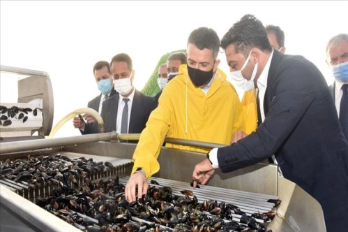 Kıyı balıkçılarına ödeme müjdesi Kıyı balıkçılarına ödeme müjdesi