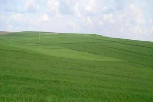 Koruma altına alınan büyük ova sayısı 376'ya çıktı Koruma altına alınan büyük ova sayısı 376'ya çıktı