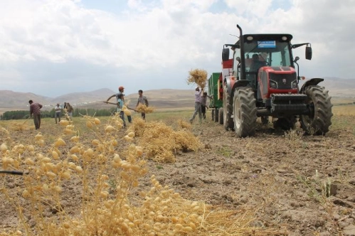 Tarım ÜFE mayısta aylık bazda yüzde 0,43 azalırken yıllık bazda yüzde 20,2 arttı Tarım ÜFE mayısta aylık bazda yüzde 0,43 azalırken yıllık bazda yüzde 20,2 arttı
