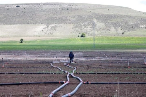 Yılsonuna kadar 402 su ve sulama yatırımının tamamlanması hedefleniyor Yılsonuna kadar 402 su ve sulama yatırımının tamamlanması hedefleniyor