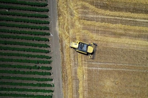 Tarım sektöründen tarihinin en yüksek ocak-mayıs ihracatı Tarım sektöründen tarihinin en yüksek ocak-mayıs ihracatı