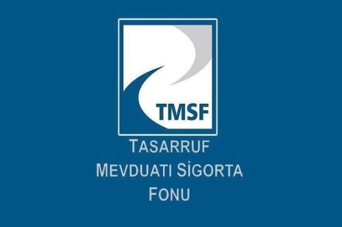 21 tasarruf finansman şirketinin tasfiyesini TMSF yönetecek 21 tasarruf finansman şirketinin tasfiyesini TMSF yönetecek