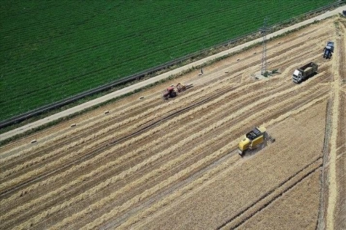 Üreticilere yaklaşık 420,5 milyon liralık destek ödemeleri başladı Üreticilere yaklaşık 420,5 milyon liralık destek ödemeleri başladı