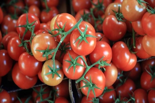 Türkiye'nin yaş meyve sebze ihracatı 3 milyar doları aşarak rekora imza attı Türkiye'nin yaş meyve sebze ihracatı 3 milyar doları aşarak rekora imza attı
