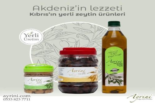 Endemik Kıbrıs zeytinini dünyaya açıyor Endemik Kıbrıs zeytinini dünyaya açıyor