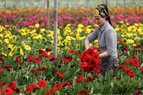 Türkiye'nin tarım ihracatı bu yıl aylık bazda 2 milyar doların altına düşmedi Türkiye'nin tarım ihracatı bu yıl aylık bazda 2 milyar doların altına düşmedi