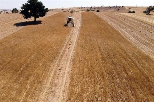 Tarım, ormancılık ve balıkçılıkta aktif büyüklük 10 yılda 5 katına çıktı Tarım, ormancılık ve balıkçılıkta aktif büyüklük 10 yılda 5 katına çıktı