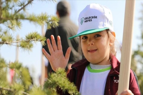 Türkiye'de yılsonuna kadar 252 milyon fidan dikilecek Türkiye'de yılsonuna kadar 252 milyon fidan dikilecek