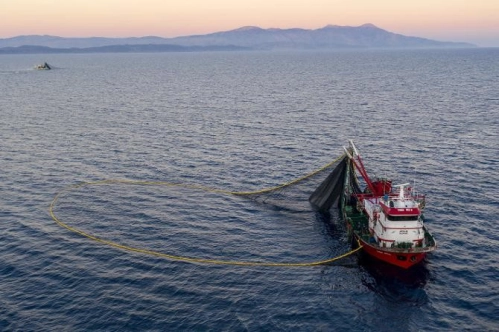 Marmara’da dökme avcılık yasaklandı Marmara’da dökme avcılık yasaklandı