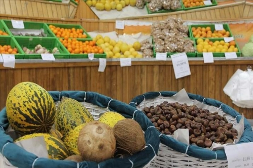 Yaş meyve ve sebze ihracatçısının geçen yıl gözdesi Rusya oldu Yaş meyve ve sebze ihracatçısının geçen yıl gözdesi Rusya oldu