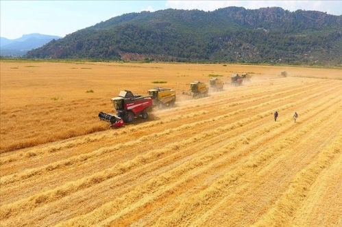 Küresel tarımsal emtia fiyatları bu yıl yüksek seyredecek Küresel tarımsal emtia fiyatları bu yıl yüksek seyredecek