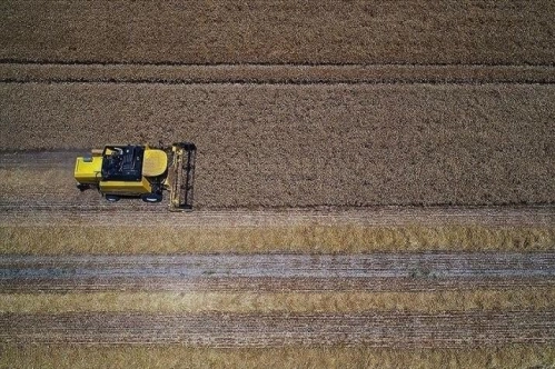 Tarımsal girdi fiyat endeksi kasım 2021'de yıllık yüzde 36.2, aylık yüzde 8.52 arttı Tarımsal girdi fiyat endeksi kasım 2021'de yıllık yüzde 36.2, aylık yüzde 8.52 arttı