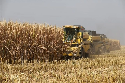 Bazı genetiği değiştirilmiş soya ve mısır çeşitlerinin hayvan yemlerinde kullanımı onaylandı Bazı genetiği değiştirilmiş soya ve mısır çeşitlerinin hayvan yemlerinde kullanımı onaylandı