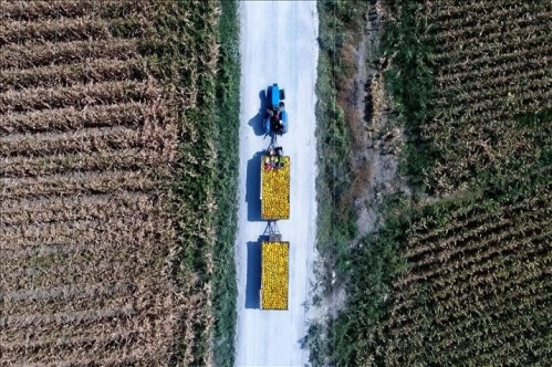 Yatırıma ve tarımsal üretime Hazine taşınmazı desteği Yatırıma ve tarımsal üretime Hazine taşınmazı desteği