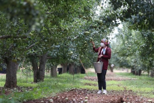 Tarıma dayalı ihtisas OSB'lerin kurulması kolaylaştırıldı Tarıma dayalı ihtisas OSB'lerin kurulması kolaylaştırıldı