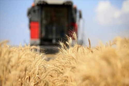 FAO: Küresel gıda fiyatları düşüşünü 6. aya taşıdı FAO: Küresel gıda fiyatları düşüşünü 6. aya taşıdı
