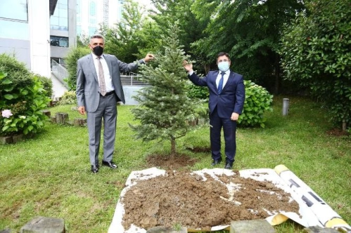 Arnavutköy’de hatıra ormanı kuruluyor Arnavutköy’de hatıra ormanı kuruluyor