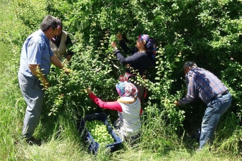 Tarım ÜFE şubatta aylık yüzde 13,74, yıllık yüzde 68,49 arttı Tarım ÜFE şubatta aylık yüzde 13,74, yıllık yüzde 68,49 arttı