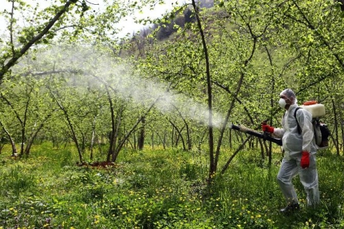 ‘Entegre mücadele’ hayat kurtarıyor ‘Entegre mücadele’ hayat kurtarıyor