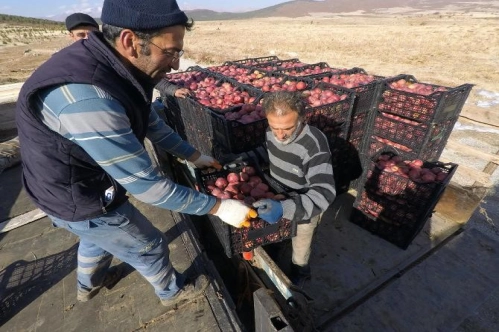 Kırsal Kalkınmada Uzman Eller Projesi kırsal mahallelerde de uygulanacak Kırsal Kalkınmada Uzman Eller Projesi kırsal mahallelerde de uygulanacak