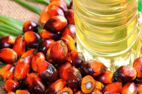 Kanola, aspir, mısır, soya ve palm yağlarında gümrük vergisi sıfırlandı Kanola, aspir, mısır, soya ve palm yağlarında gümrük vergisi sıfırlandı