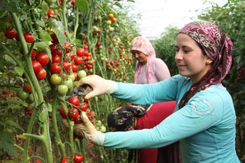 Tarım ÜFE martta aylık bazda yüzde 12,02, yıllık yüzde 84,11 arttı Tarım ÜFE martta aylık bazda yüzde 12,02, yıllık yüzde 84,11 arttı