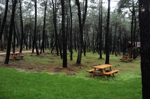 Orman parklarının planlanması ve işletilmesine yönelik hususlar belirlendi Orman parklarının planlanması ve işletilmesine yönelik hususlar belirlendi
