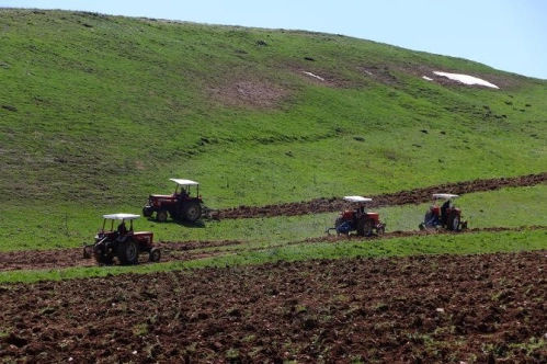 77.4 milyon liralık tarımsal destek ödemeleri bugün yapılacak 77.4 milyon liralık tarımsal destek ödemeleri bugün yapılacak