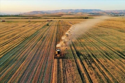 115.1 milyon liralık tarımsal destek ödemelerine başlandı 115.1 milyon liralık tarımsal destek ödemelerine başlandı