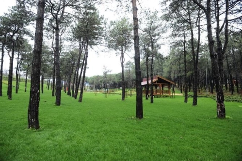 Orman parkı başvurusunda yeni karar Orman parkı başvurusunda yeni karar