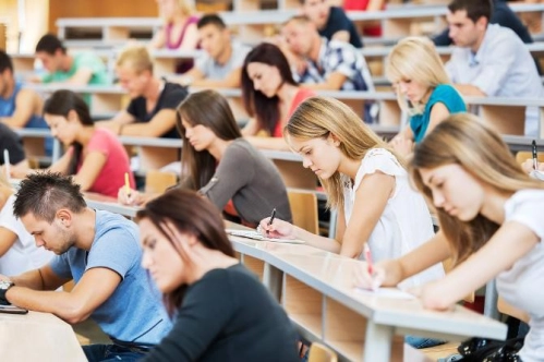 Üniversite mezunlarında istihdam oranı yüzde 71,1 Üniversite mezunlarında istihdam oranı yüzde 71,1