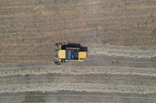 Tarımda yeni destekleme modeli gelecek, 'kent tarımı' hayata geçirilecek Tarımda yeni destekleme modeli gelecek, 'kent tarımı' hayata geçirilecek