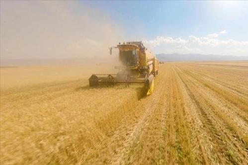 Bazı illerde TMO'nun buğday ve arpa alım primi desteğinden yararlanma süresi uzatıldı Bazı illerde TMO'nun buğday ve arpa alım primi desteğinden yararlanma süresi uzatıldı